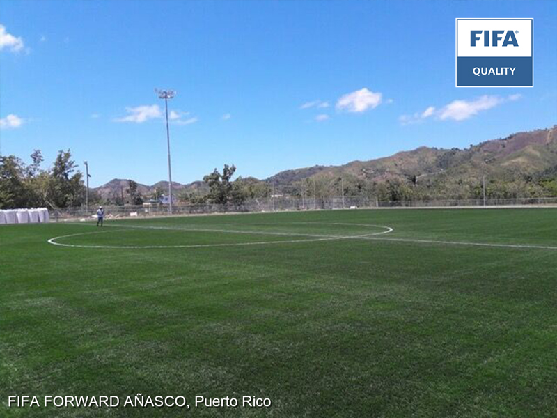 FIFA FORWARD AÑASCO (Puerto Rico)