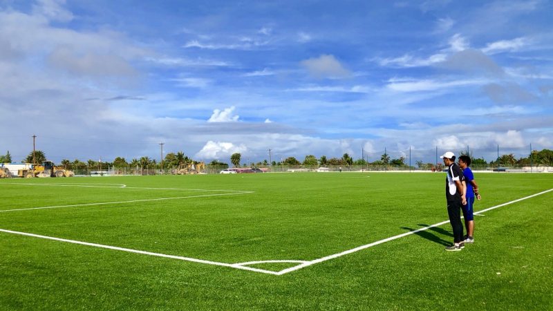 Why artificial grass works