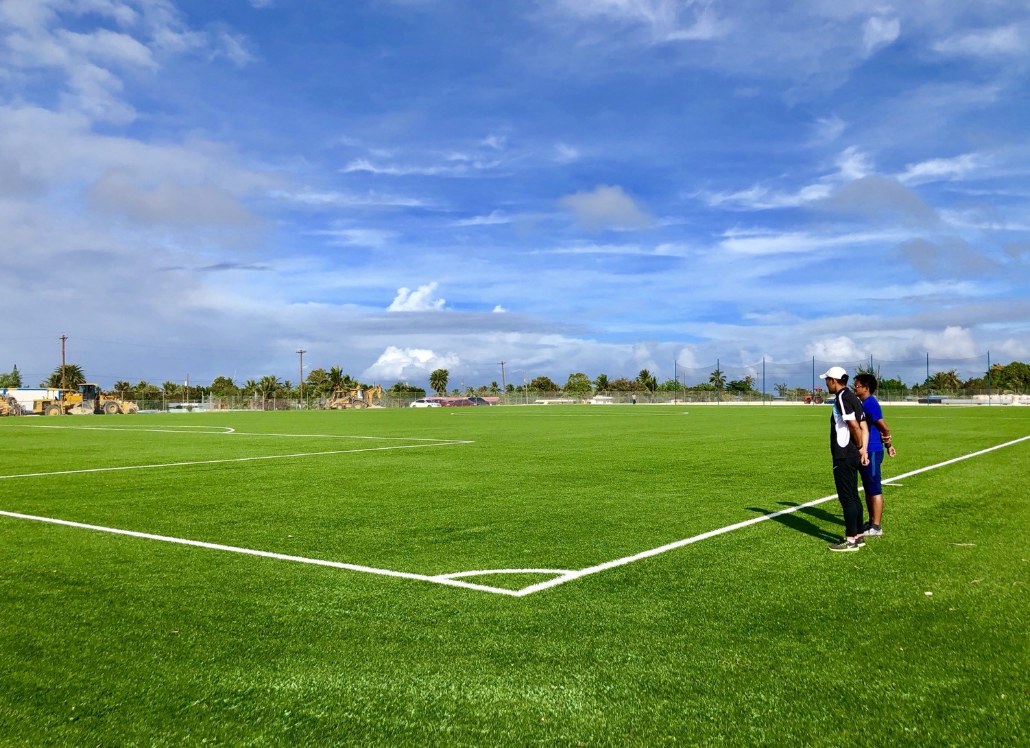 Why artificial grass works