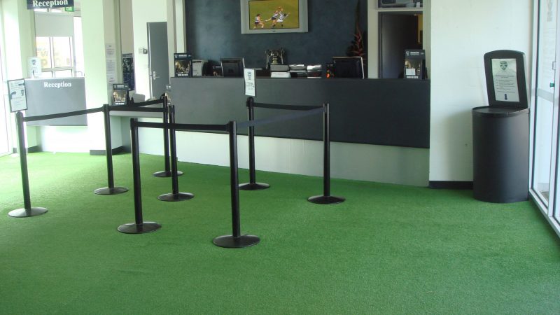 Appealing artificial grass carpet