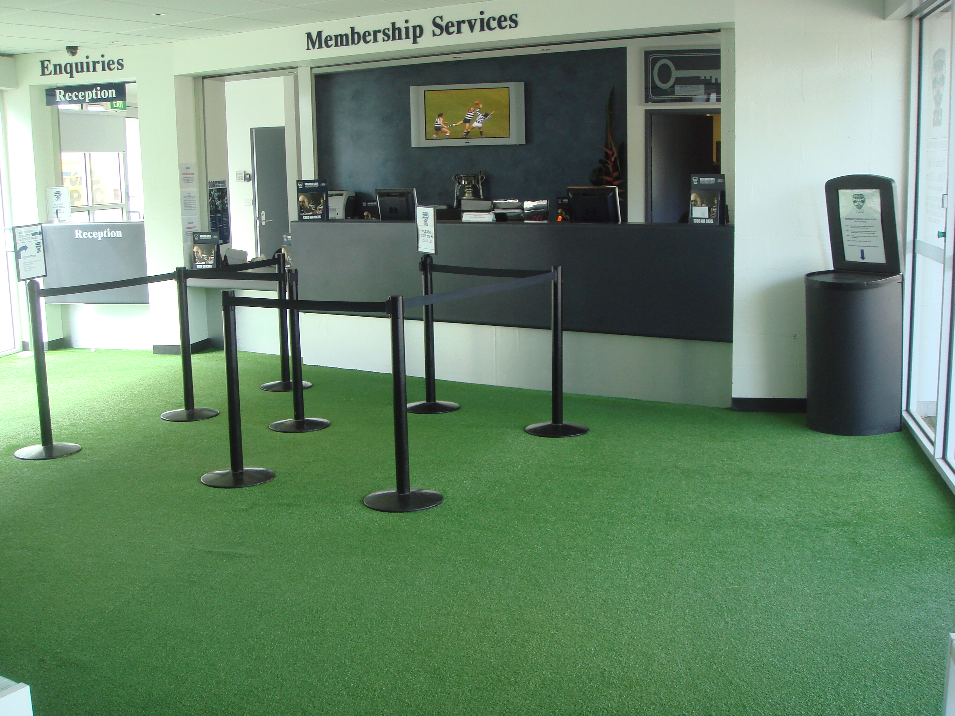 Appealing Artificial Grass Carpet