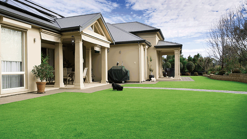 How to maintain artificial turf in garden