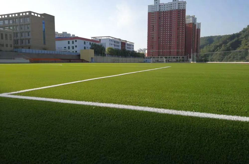 Zhidan County Campus Football Training Field (China, PR)