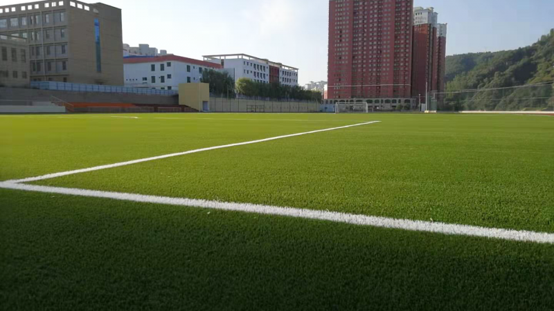 Top 5 considerations when choosing your next sports field surface