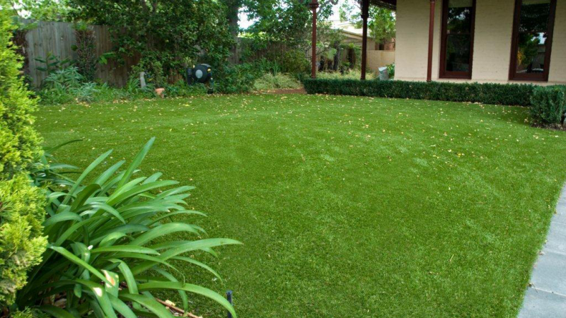 3 reasons artificial lawn are more popular than natural grass