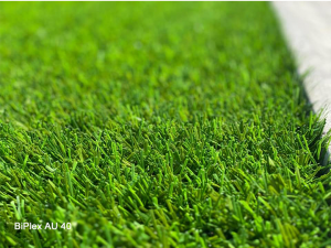 CCGrass football pitch in TSV Fortuna in Billigheim, Germany (5)