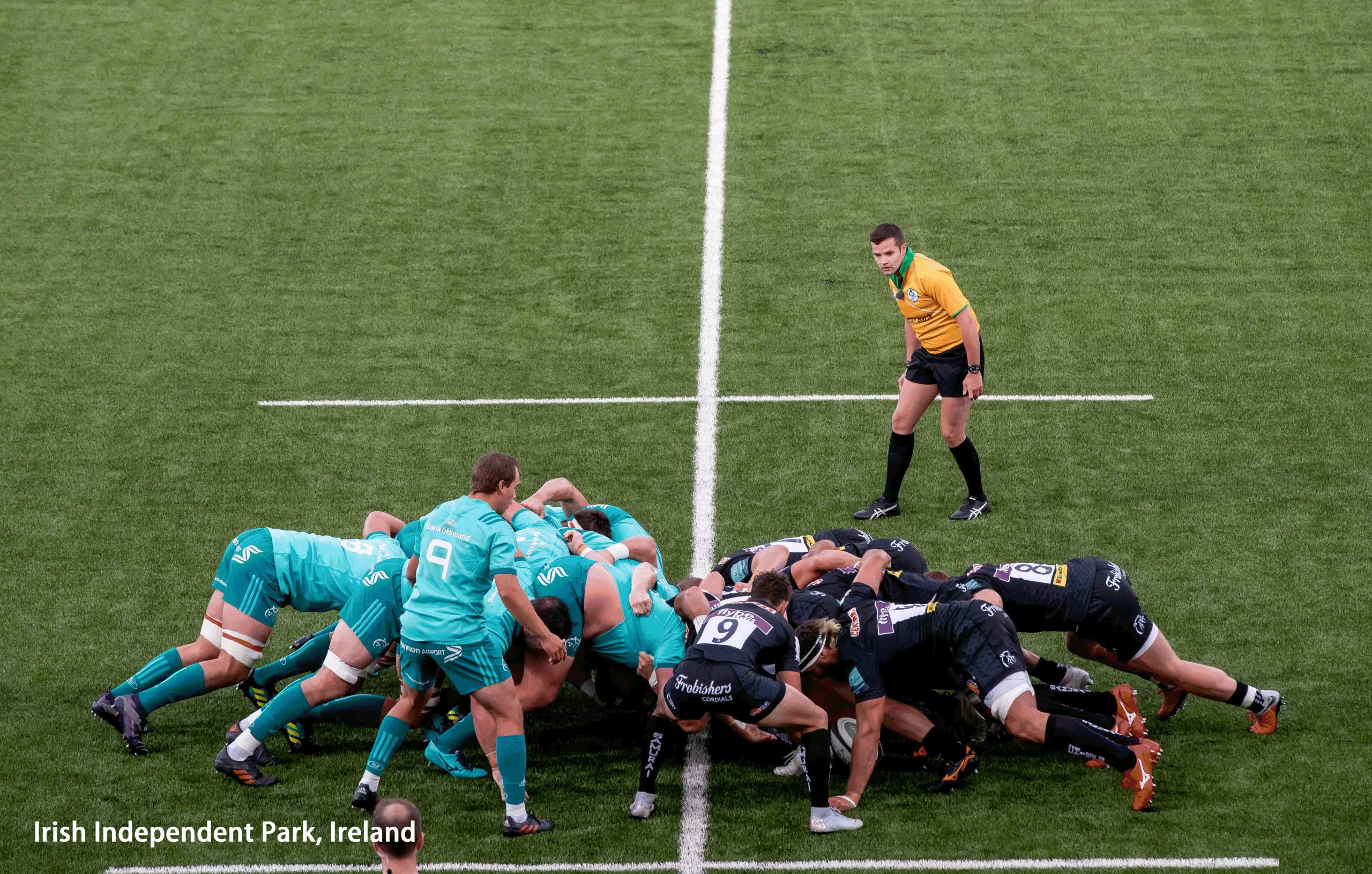 Irish Independent Park, Munster Rugby Update