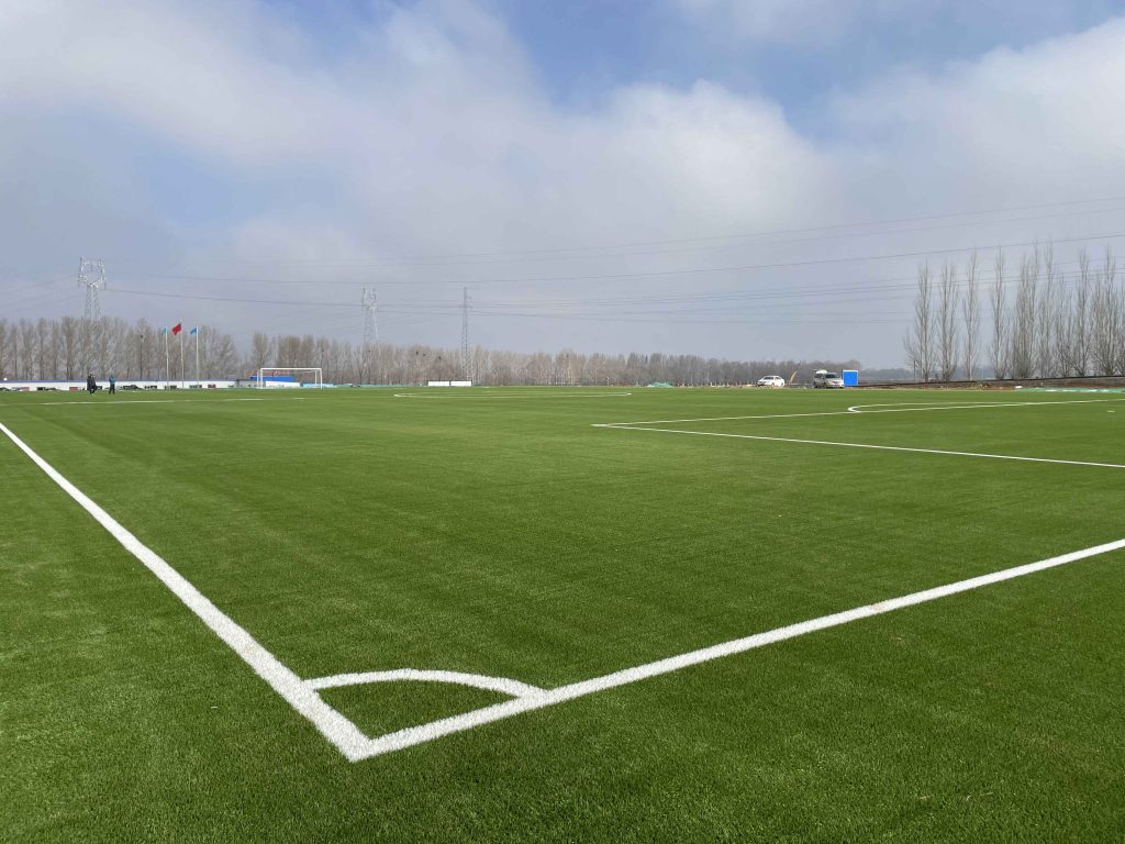 CCGrass，football field，FIFA certificate