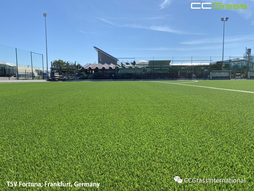 CCGrass, Synthetic Turf Pitches 2