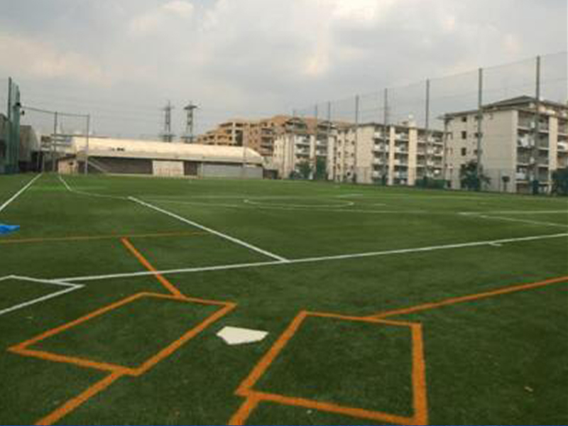 coloured turf pitch