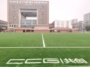 CCGrass, football pitch, China, FIFA certificate
