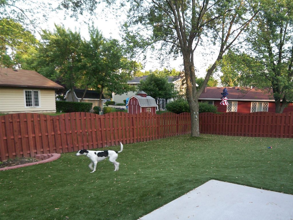 CCGrass, artificial grass for dogs, pet grass