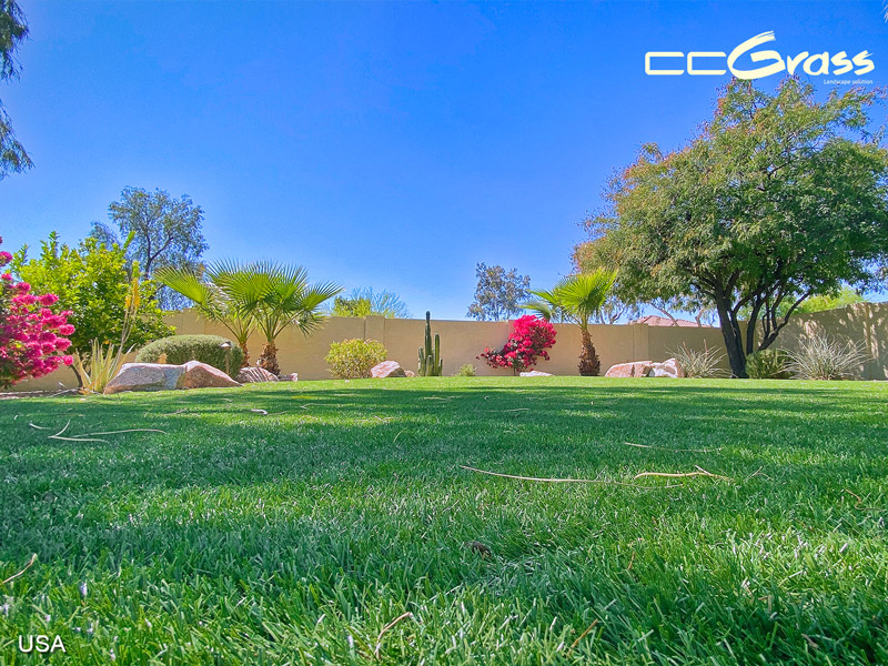 CCGrass, artificial landscape turf