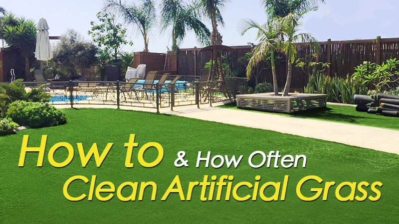 How to Clean Artificial Grass? (& How Often)