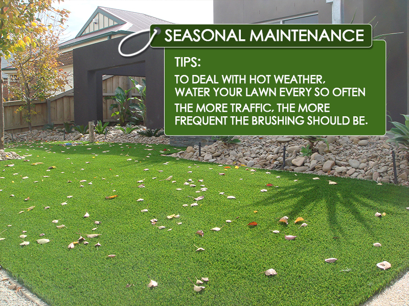 CCGrass, landscape grass, seasonal maintenance