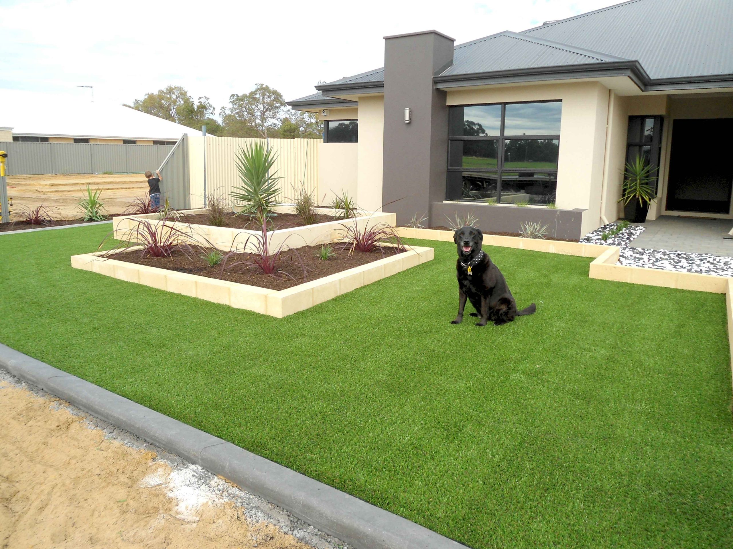 can dogs pee on artificial grass