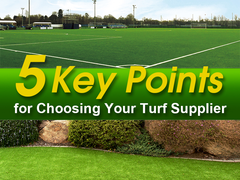 5 Key Points for Choosing Your Turf Supplier