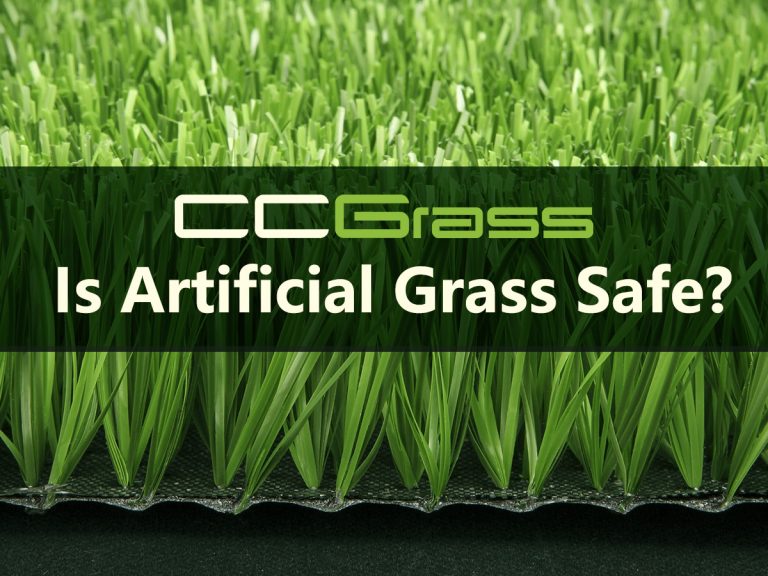Is artificial grass safe? Caution! CCGrass