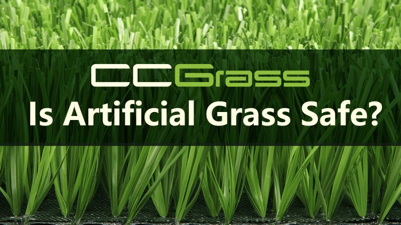 Caution! Is Artificial Grass Safe?