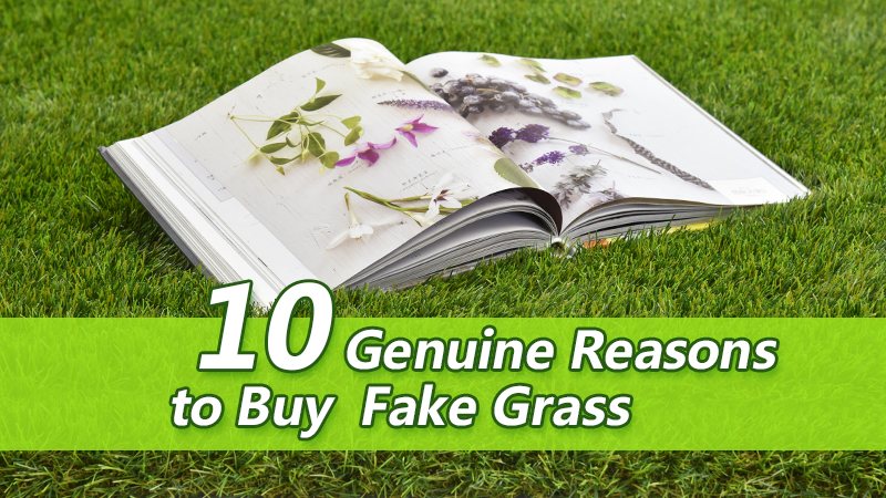 10 Genuine Reasons to Buy Fake Grass