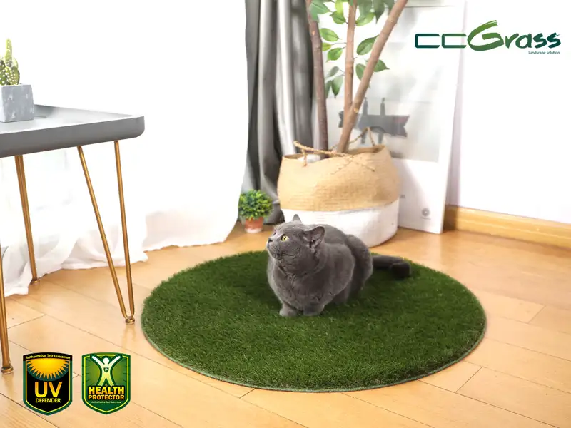 CCGrass, artificial grass for cats, pet mat