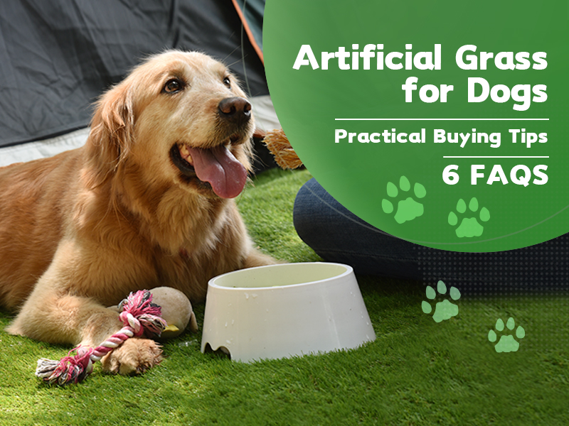 CCGrass, artificial grass for dogs