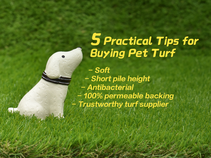 can dogs pee on artificial grass