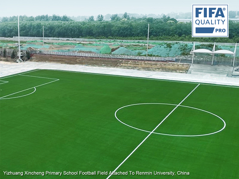 CCGrass, football pitch, FIFA certified pitch