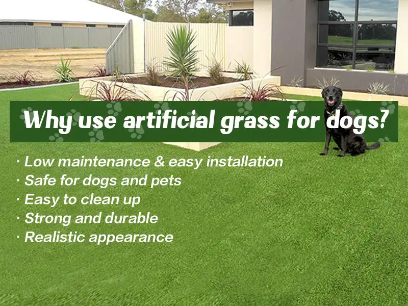 Why use artificial grass for dog