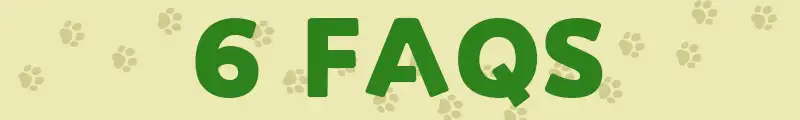 artificial grass for dogs, 6FAQS