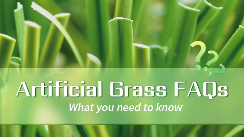 Artificial Grass FAQs – What You Need to Know