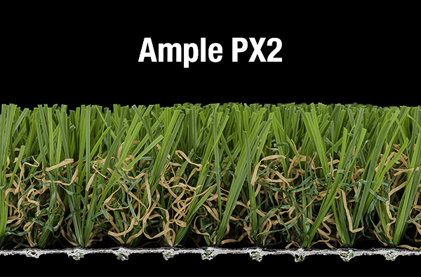 Ample-PX2