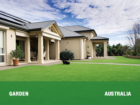 CCGrass, landscape turf for garden, Australia