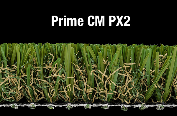 Prime-CM-PX2