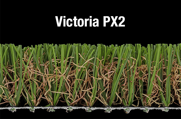 Victoria-PX2