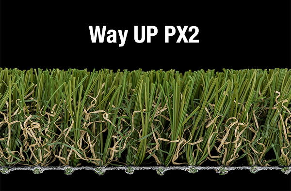 Way-UP-PX2