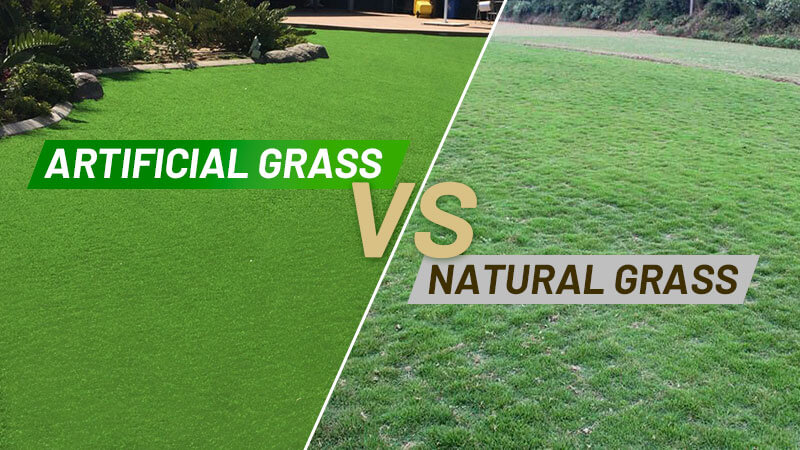 artificial grass vs. natural grass