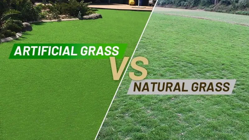 Artificial Grass