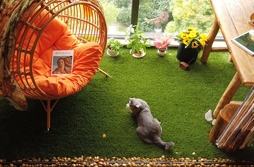 CCGrass, artificial grass on balcony