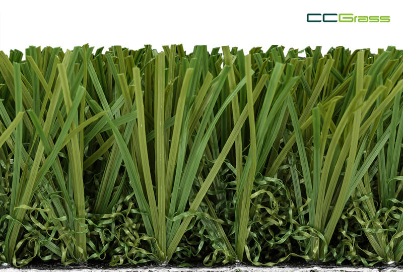 CCGrass, Stemgrass EX2 for putting green fringe