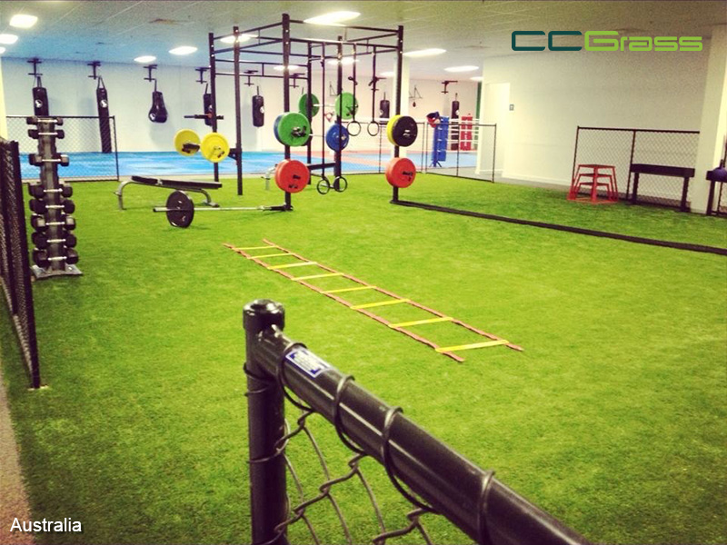 CCGrass, gyms and fitness centers