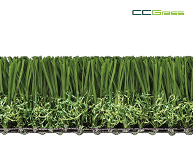 CCGrass, top choice for multi-sport turf