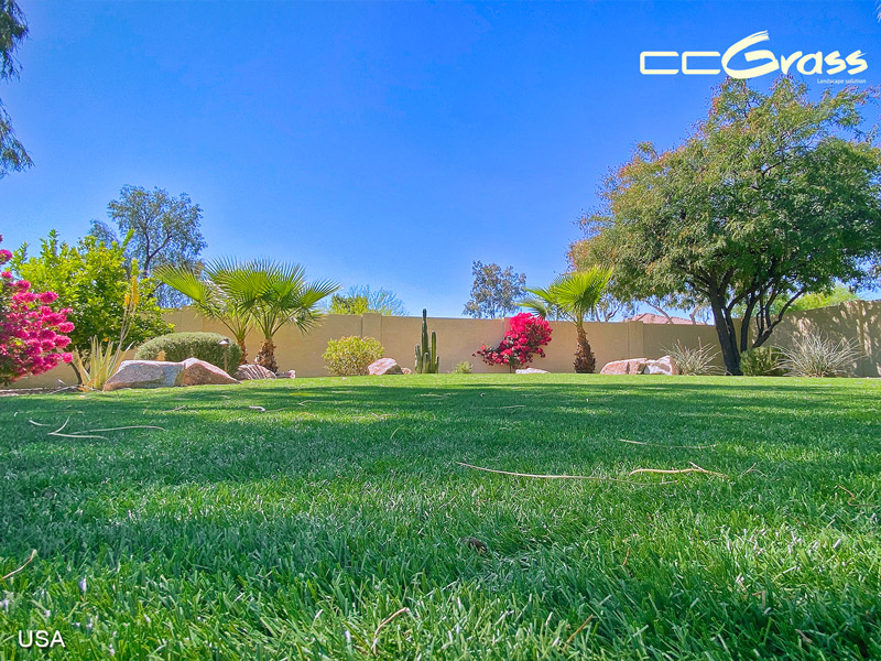 CCGrass, residential artificial landscape turf