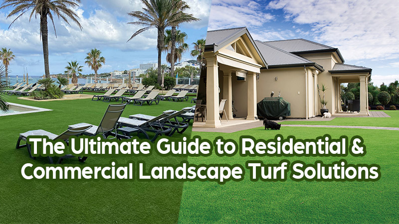 The Ultimate Guide to Residential & Commercial Landscape Turf Solutions