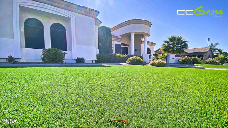 CCGrass, fake grass for yards