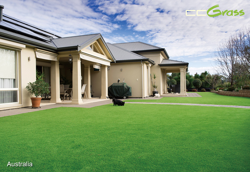 CCGrass, verdant artificial turf backyard