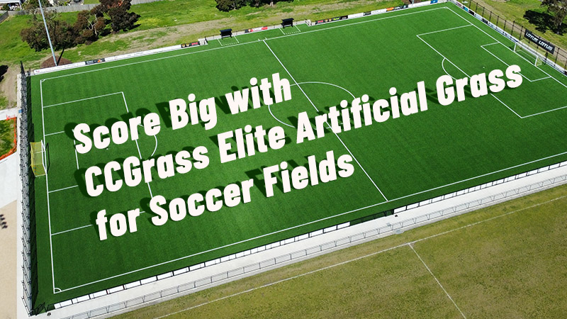 Score Big with CCGrass Elite Artificial Grass for Soccer Fields