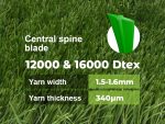 Stemgrass