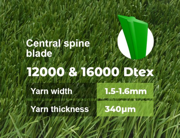Stemgrass