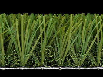 Stemgrass EX2